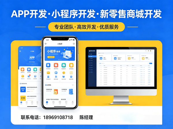 福州三三复制公排系统开发:财务报表统计全解析